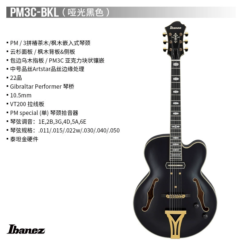 Гитара Ibanez Ebana PM3C Jazz Hollow Pat Metheny Signature Edition с футляром