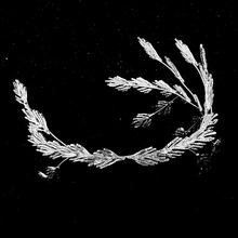 Ӱҕ��ͬ�������^��b��ʿ���ͺϽ�l�����Ϳ�΢�{�ٴ���L�ʹ�