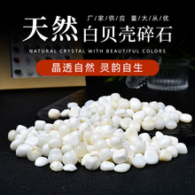 Slؐʯ^b[Сw~׻@ˇb쾰ʯ