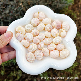 ��Ȼ����ؐ��ϡ���ղؘ˱������Ĕz�����~���쾰�Ҿ��b[�����l