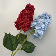 ���滨���^��ɫ�������� ��Y���b� ����廨 �ҾӔ[�O �zӰ�ٻ�