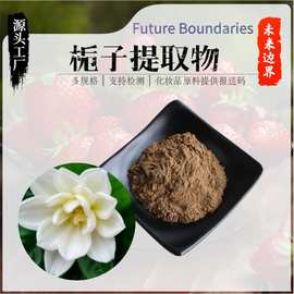 栀子提取物10：1 -50:1水溶性 栀子粉 喷雾干燥法  工厂现货包邮