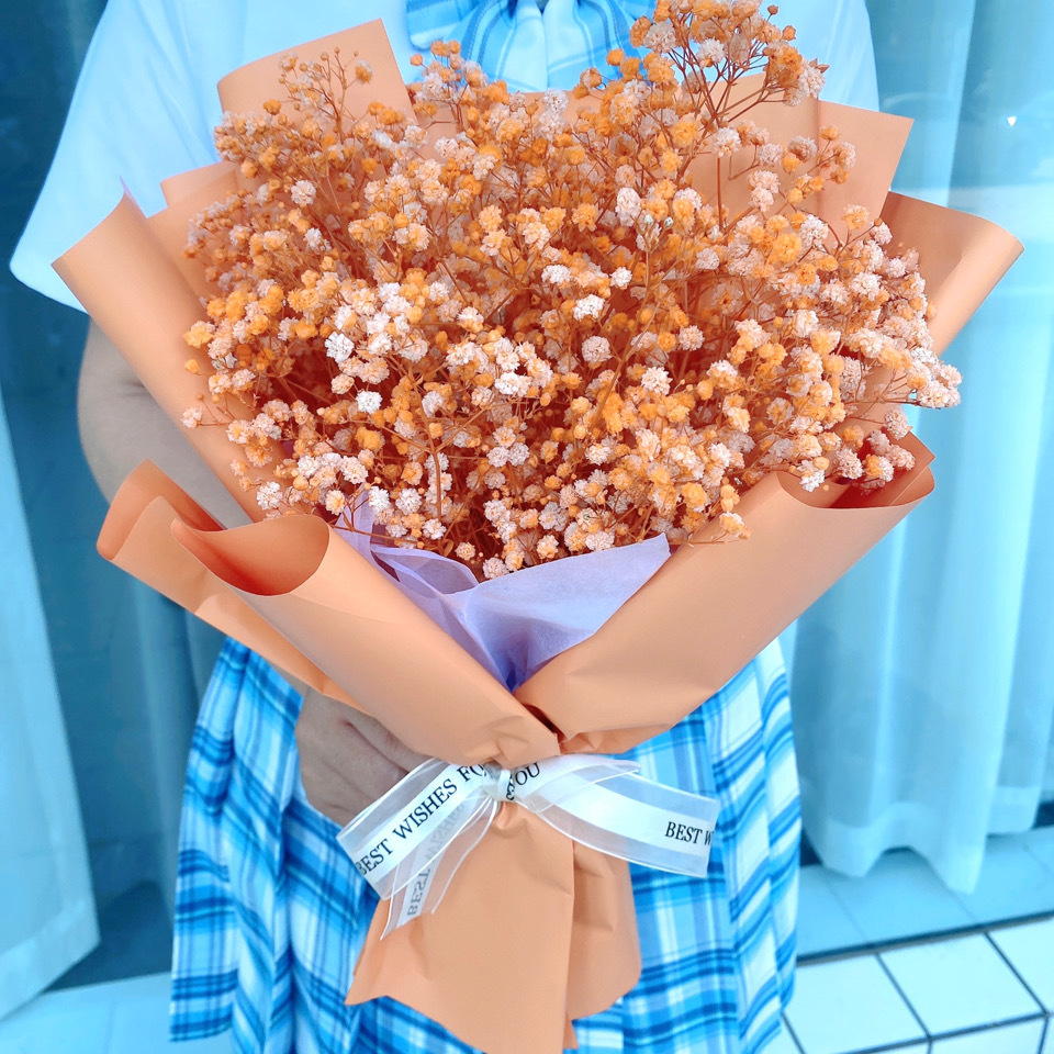 7ef30968-7154-4f65-ab49-6e55b16557e4.jpe