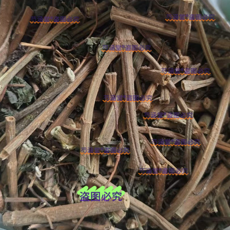 Nettle Grass, Chinese Medicinal Materials, Whole Tree, Nettle Leaf Tea, Nettle Powder, Ramie Biting Grass, Stinging Grass, Nettle Root