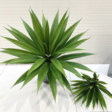 剑兰仿真植物热带绿植多肉植物厂家北欧家居装饰摆件大植物盆栽