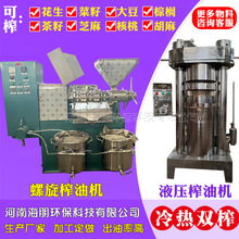 全自动榨油机全套设备商业用小型家用商用液压螺旋花生芝麻炸油机