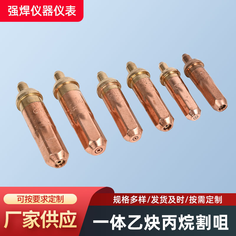 国家標準 G01-30/100/300 統合プラムプロパン切断ノズルリング状アセチレン切断ノズルガス切断ガンアクセサリー卸売|undefined