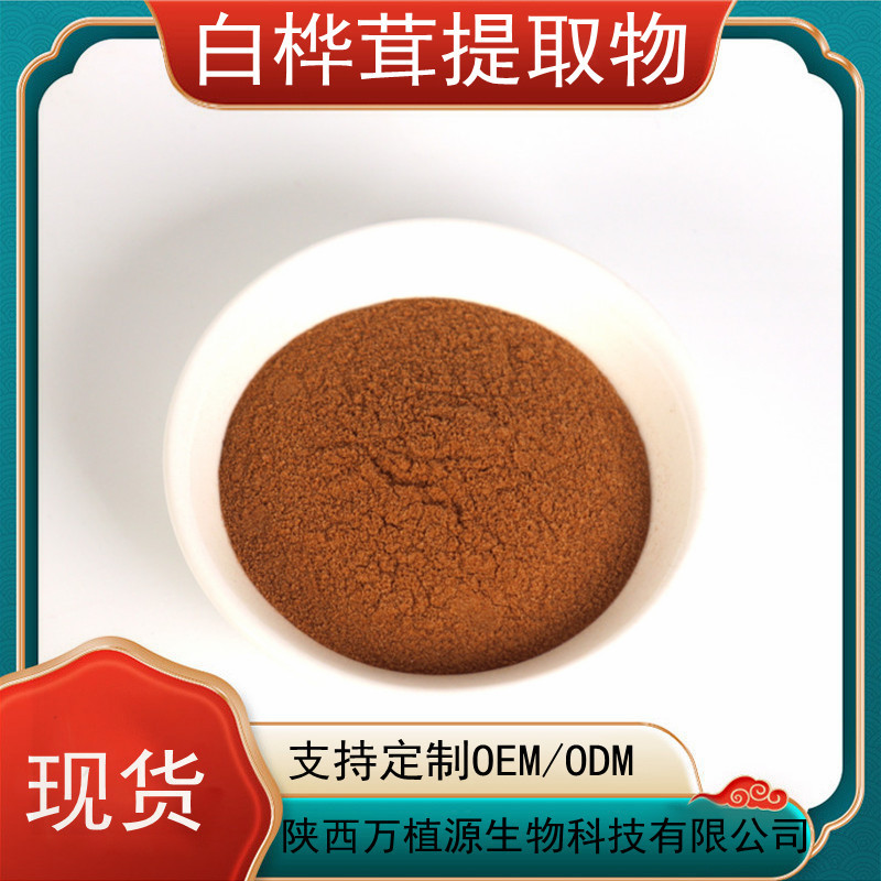 白桦茸提取物10:1 桦褐孔菌粉 白桦茸多糖 白桦茸粉