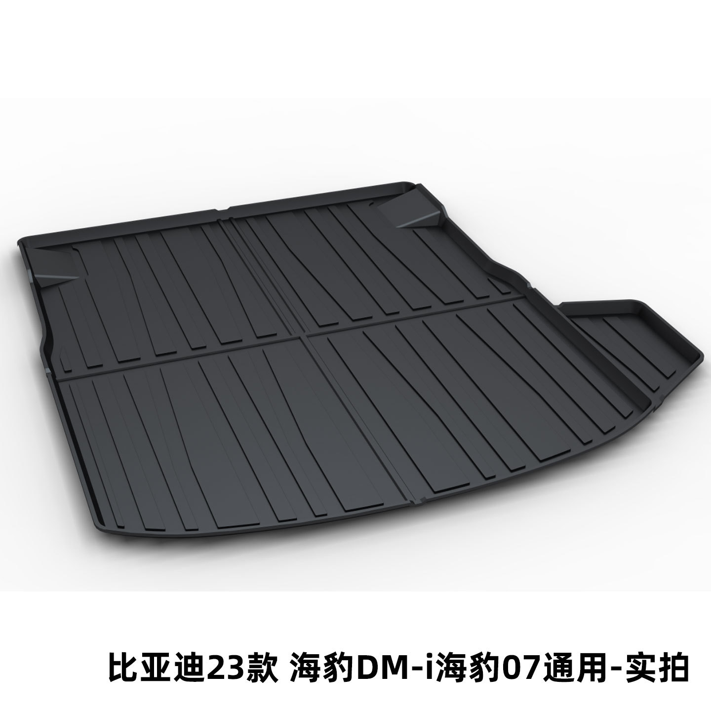 Byd Tang Song Pro Dolphin Qin Plus Han Dmi Seal Tail Box Mat Tpe Trunk Mat for the Tang Dynasty Ocean Dynasty