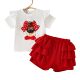 Cross-border Hot 2025 Summer New Girls Printed Flying Sleeve T-shirt Lace Skirt Two-piece Set
