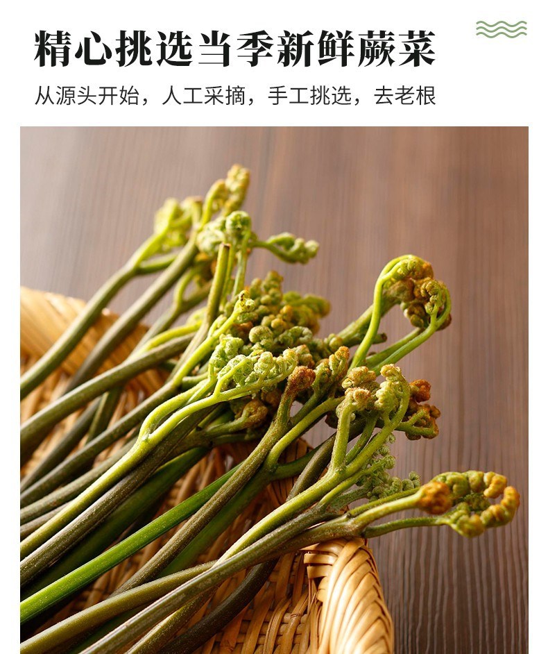 Wild Dried Fern Brakes 500g Farmhouse Shan Jue Cai Wild Vegetable from Hunan quality and texture