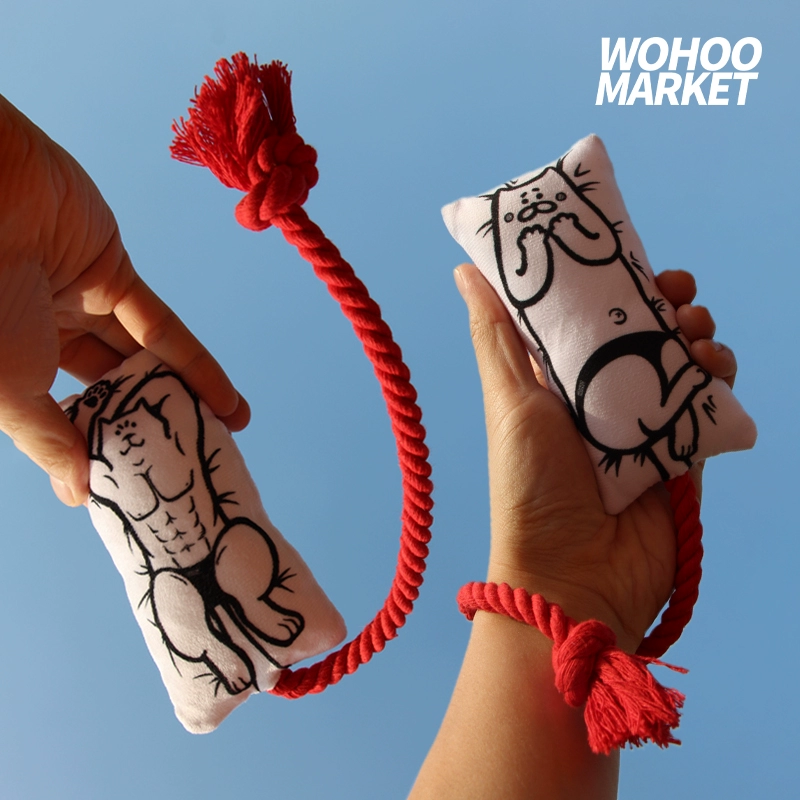 Кошачья мятная подушка от привет кусать, чтобы снять скуку