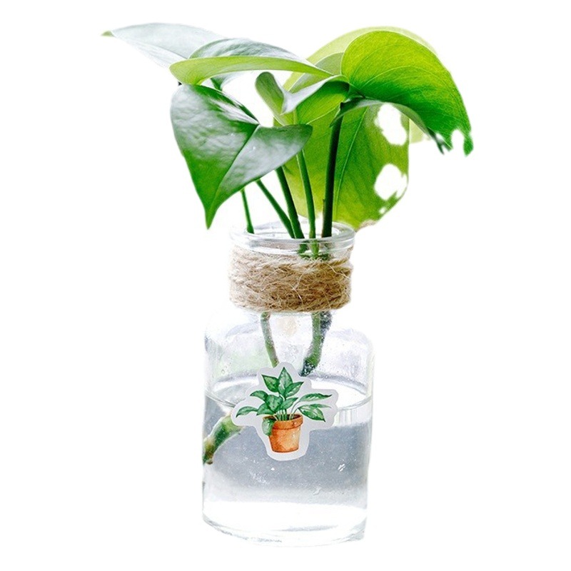 Mo mo pegatinas en Caja Verde Oxígeno vida diario japonés pegatinas DIY decorativo sellado pegatinas 45 unidades