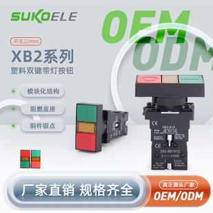 Neutral Plastic Double Button with Light Led Button Switch Xb2-Ew8465 Ew8365 Source Manufacturer