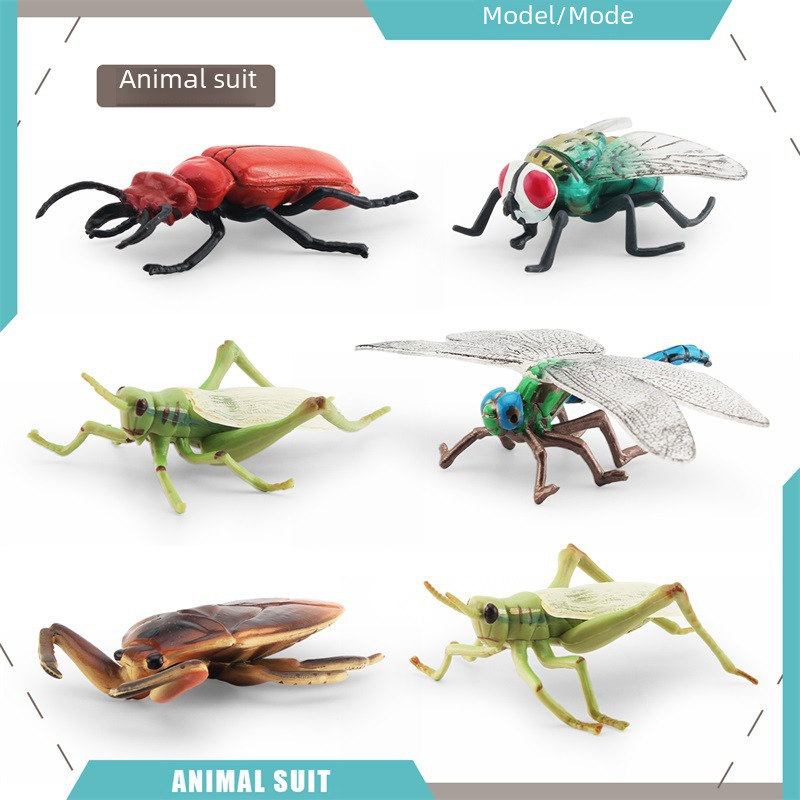 跨境仿真田鱉龍虱天牛楸甲蜻蜓螞蚱蒼蠅樹蛙野生昆蟲動物模型擺件