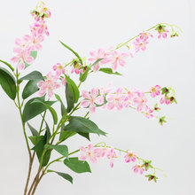 �S��ֱ�N 2�^�����z���� ���W�Ҿӿ͏d�Ƶ�ܛ�b�c�����ٻ�