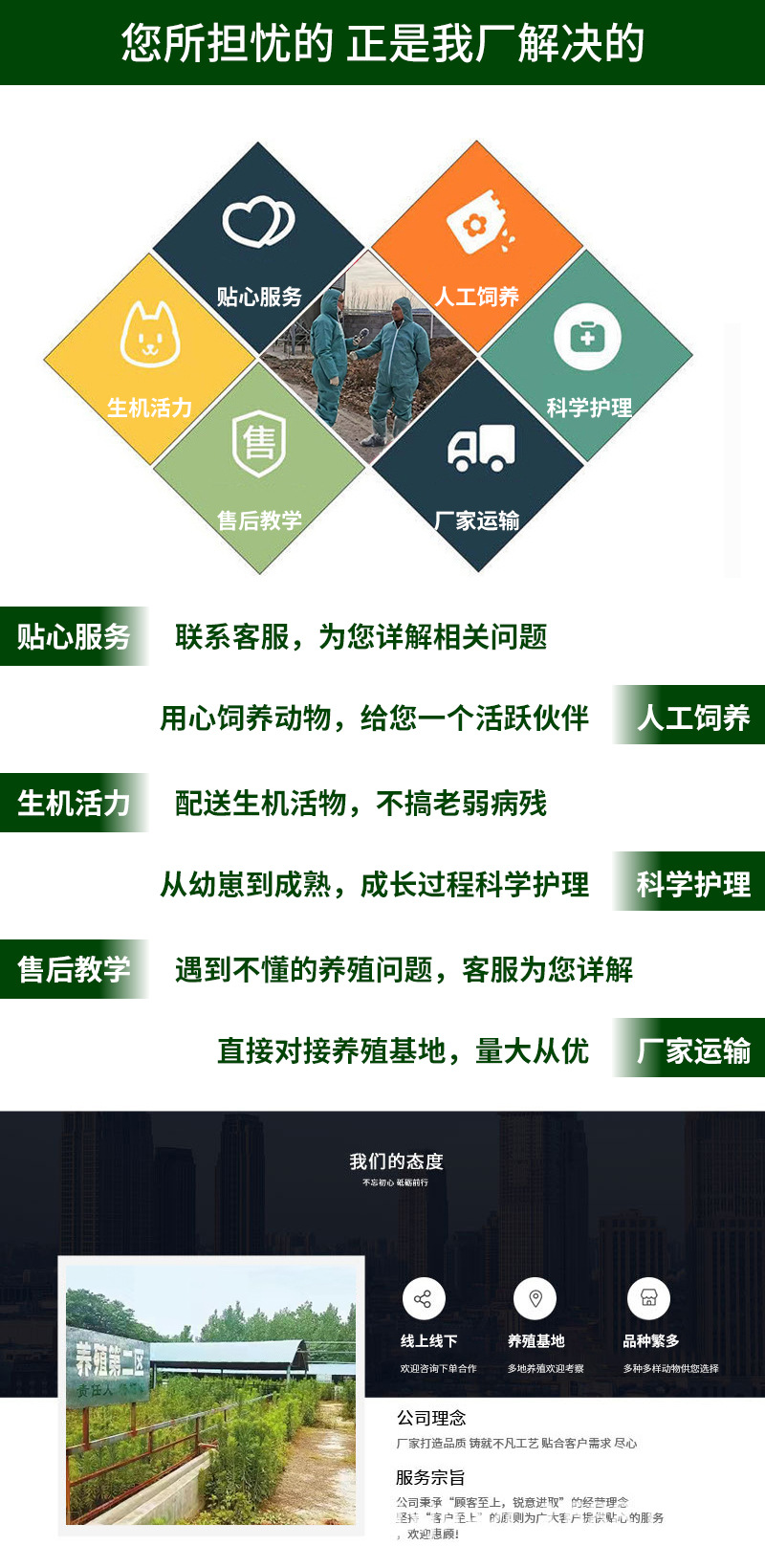 動(dòng)物插圖_04