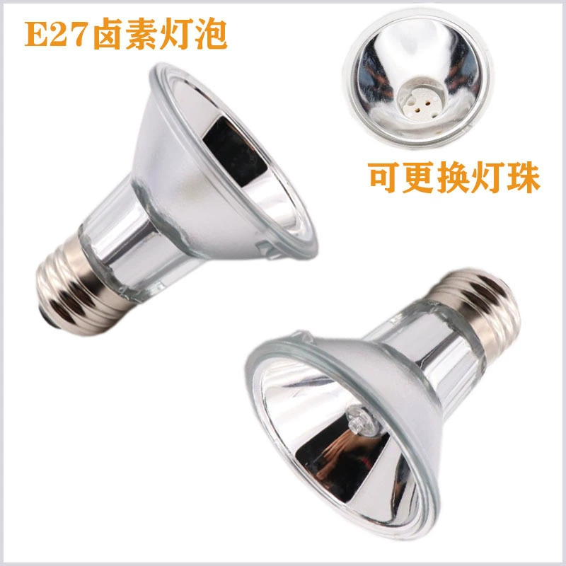 Ampoule remplaçable halogène, tasse lampe, Ampoule de chauffage, lampe arrière tortue, lampe d’isolation, lampe de chauffage