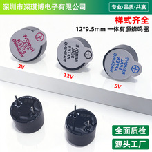 12*9.5mm��Ʒ��һ����Դ������ 3V/5V/12Vֱ������12095 TMB12A05