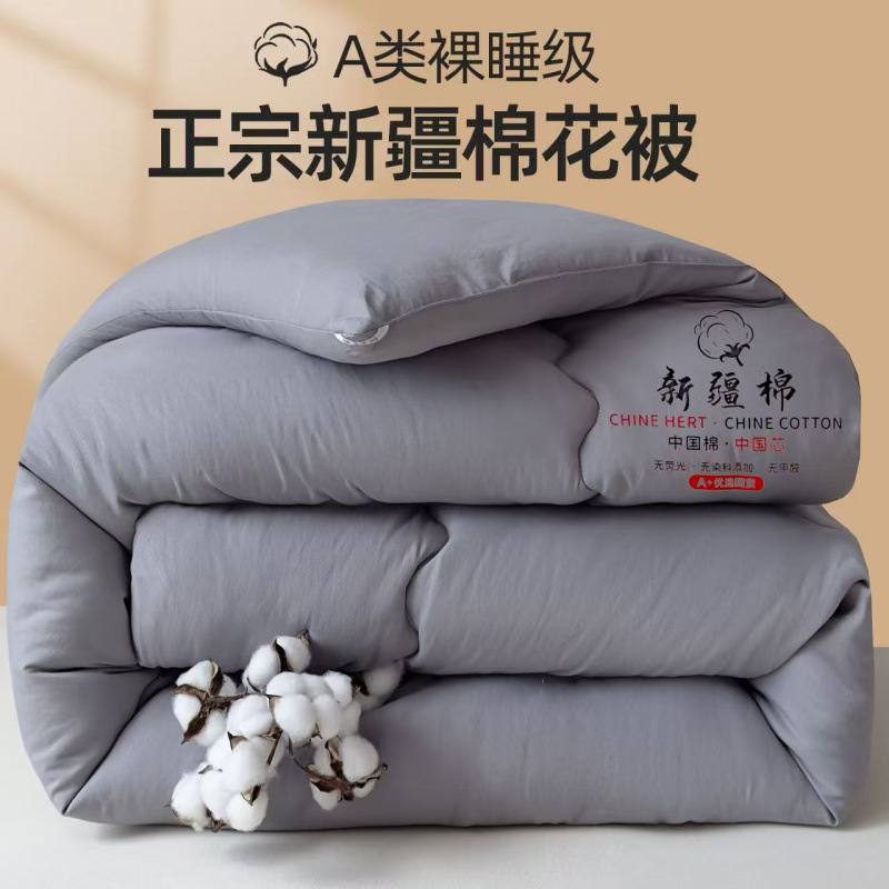 Customized New Product A-Grade Xinjiang Cotton Quilt, Quilt Core, Winter Quilt, Spring and Autumn Quilt, Thickened Quilt, Two-In-One Quilt