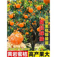 �����S���۽����Ӽ޽��������ļ������ϱ���ͥԺ�̨�Nֲ����Y��