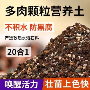 �����������w���I�B�ʺ�ʯ���w���G��ʯ��ɽʯ���ʯ���ʯ���ʯ