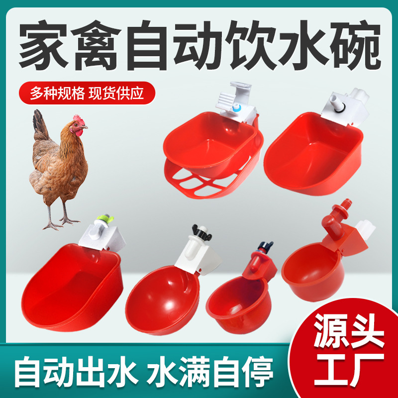 Cross-border chicken drinking fountain chicken duck goose water bowl chicken drinking nozzle drinking sink cross drinking fountain pigeon water feeder