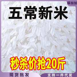 当季东北大米10斤当季新米圆粒珍珠米5kg寒地黑土地种植东北米2.5