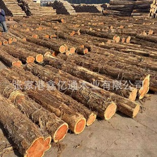 �S��� ԭľ��� �t��� ����ľ �Ͱ�ľ ���ľ�Ҿ߉۲��� �t�İ�