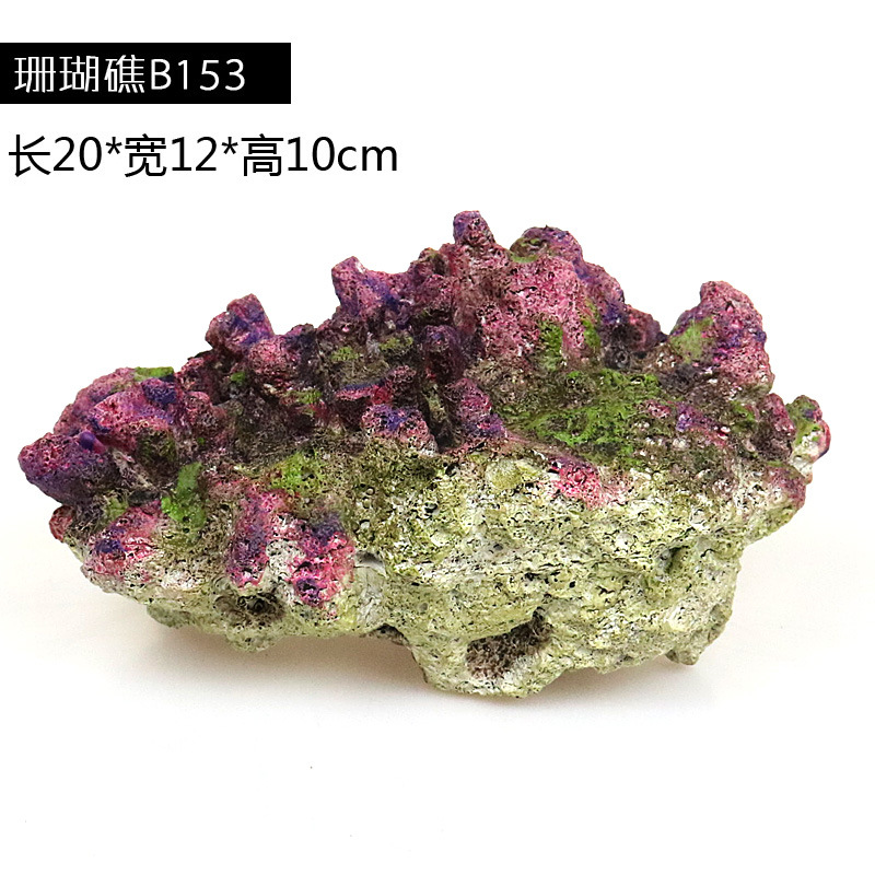 珊瑚153