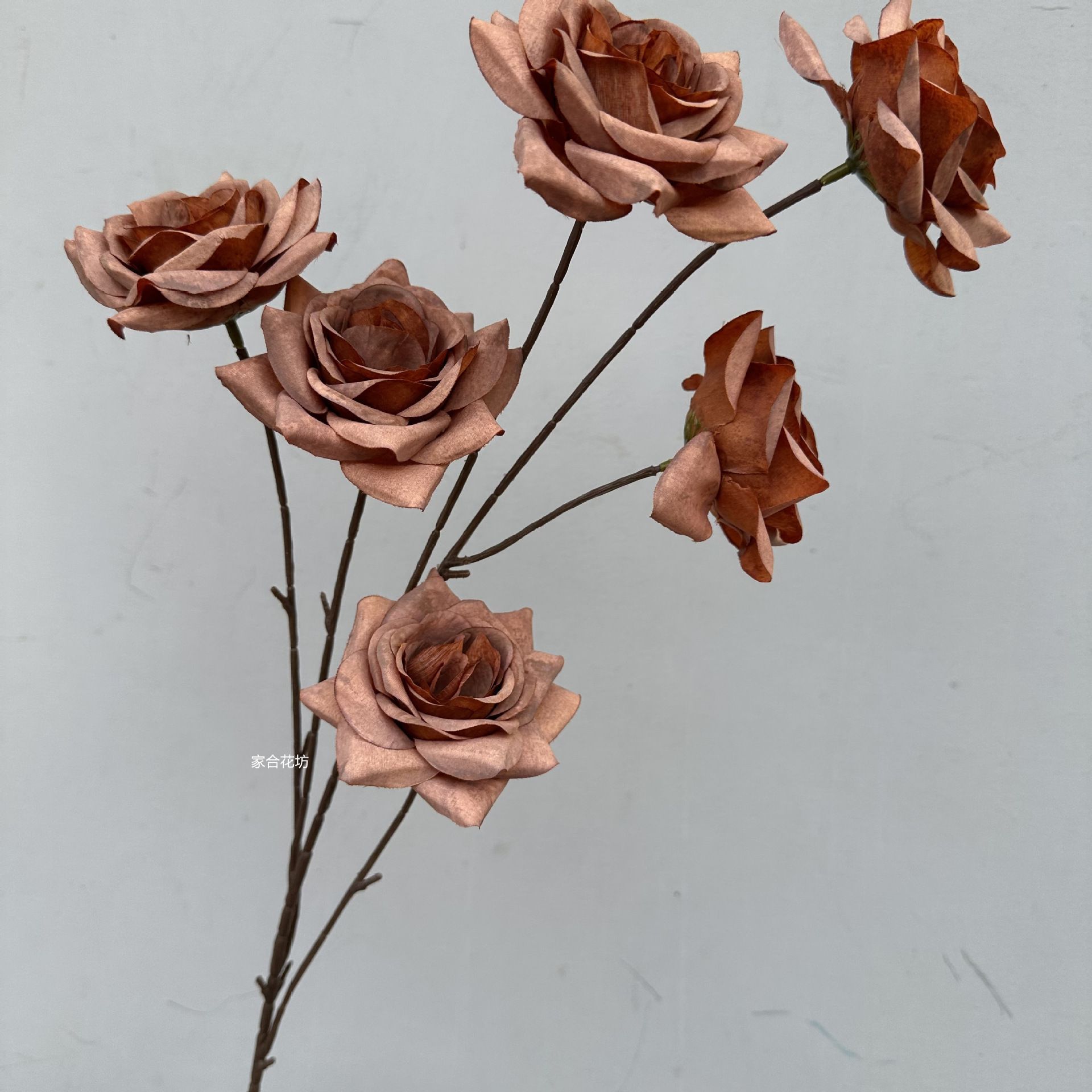 6 뿔 장미 꽃 직경 7cm