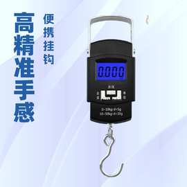 高精度手提电子秤 钓鱼弹簧称精准家用小型克秤便携式拉力钩子称