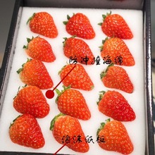 草莓海绵包装/草莓海绵内托/草莓海绵内衬/草莓海绵衬垫/草莓海绵