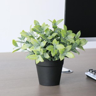 Cross-Border Simulated Green Plant Potted Plants European Style Creative Home Office Desktop Decoration Fake Green Plants Plastic Potted Plants Wholesale