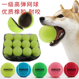 狗狗牵引;猫猫玩具;狗狗玩具