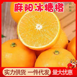 正宗麻阳冰糖橙9斤整箱柑橘当季新鲜10批发包邮5湖南高山水果脐橙