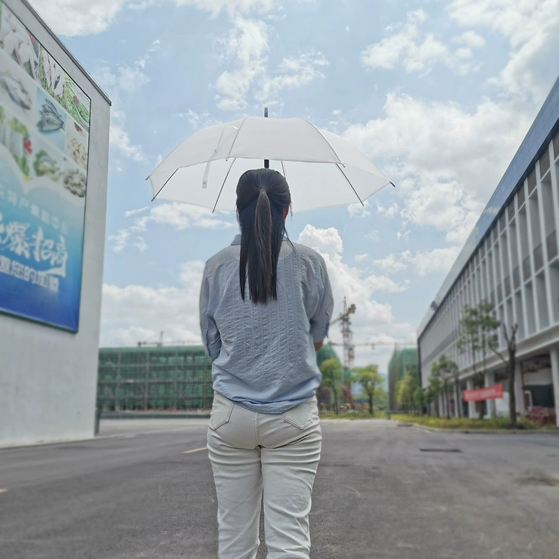 Matte white automatic Japanese umbrella for students, internet celebrity