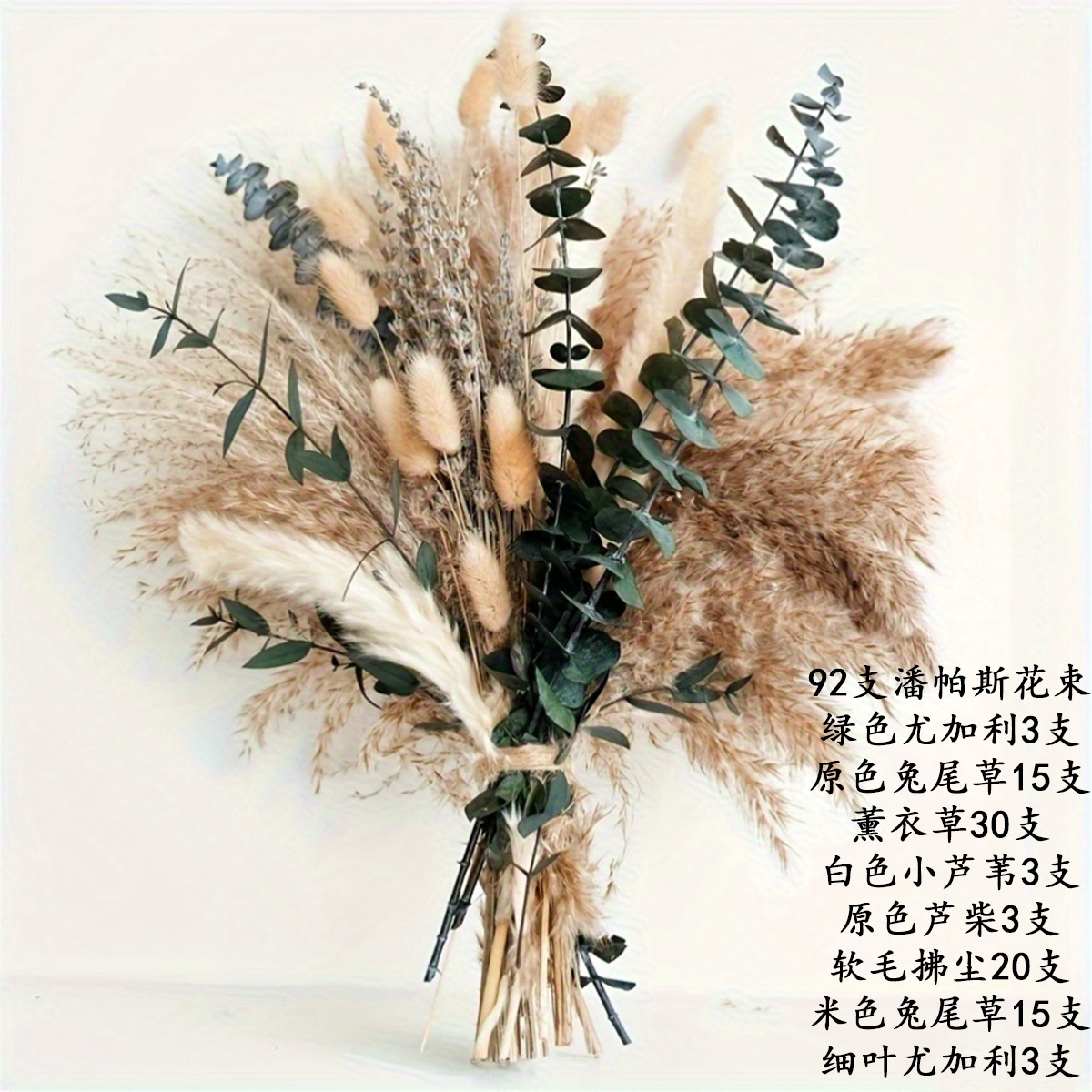 HS006