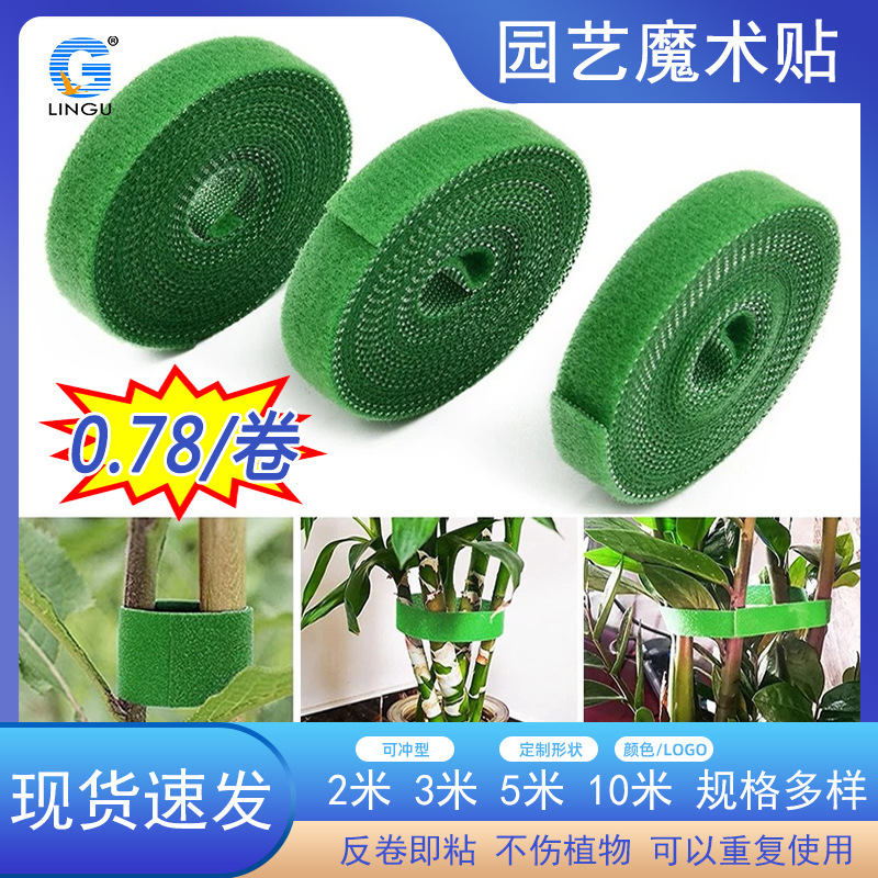 ������ֲ����԰��ħ�������ߴ���ɫֲ�����̶���֦�廨����֧��