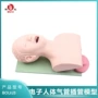 博友电子训练练习模型