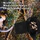 Outdoor Mushroom Picking Bag Fruit Picking Bag Outdoor Satchel Storage Bag Foldable Large Capacity Mesh Bag