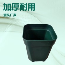 ���l���ϼӺ�\���� ���������������������ֲ�ﻨ�辰����