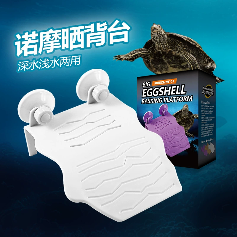 НОМО Черепаха Закат Восхождение Лестница Избегая Восхождение Лестница Домашнее Животное Сушка Вернуться Стол Маленькая Черепаха Пейзаж Закат Плавающий Остров