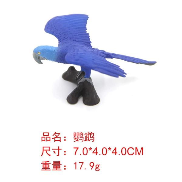 M4084 Parrot