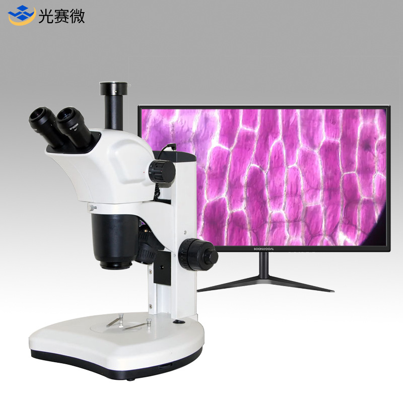 高清三目体视显微镜 连续变倍解剖显微镜 实验室生物研究手机维修