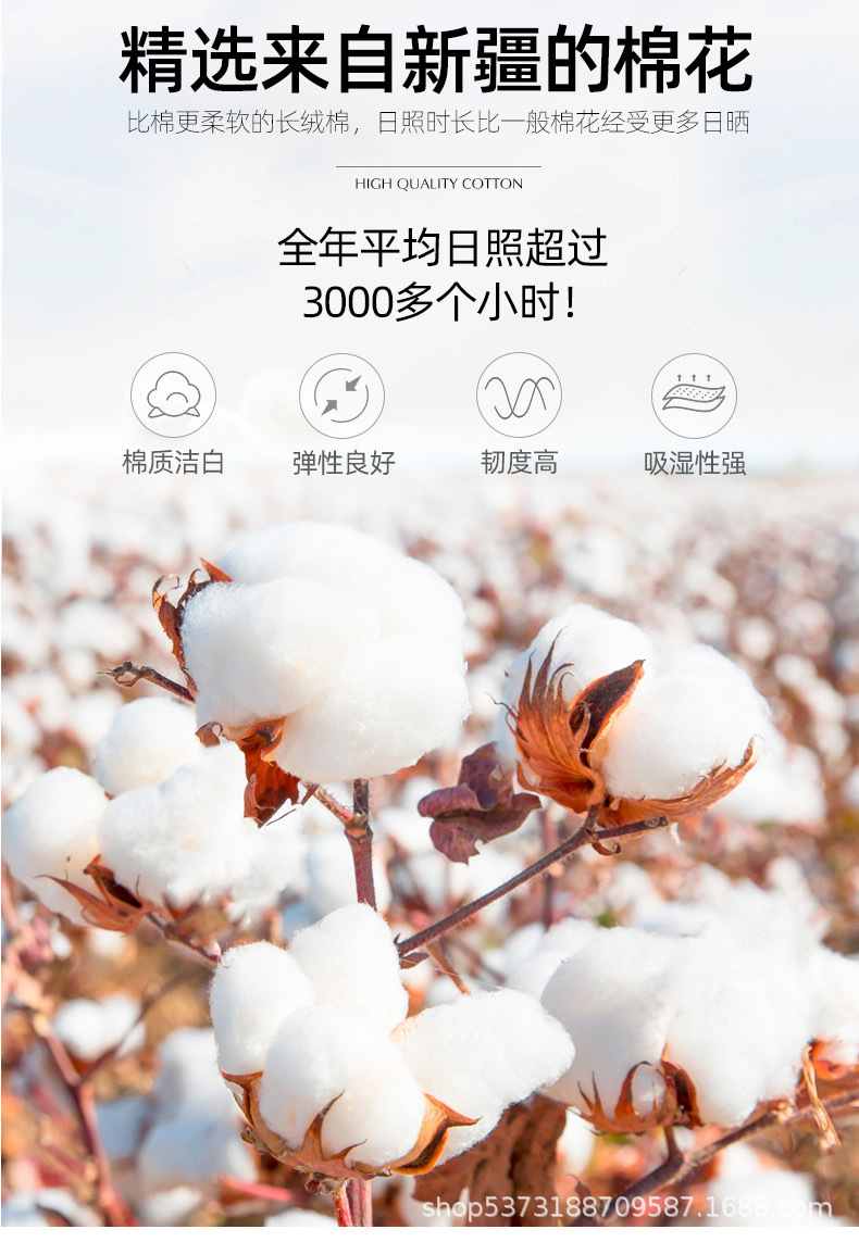 微信图片_20240602201200.jpg