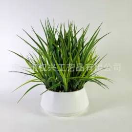 仿真绿植;植物工艺品;仿真盆栽