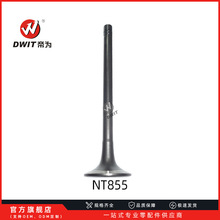 NT855 ���� ������ ����˹6343