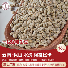 云南保山一级咖啡生豆2025产季 16目水洗阿拉比卡精品咖啡豆批发