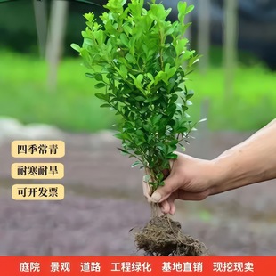 С�~�S��������S�����S��䪚�U�S����ͥԺ�G�h�辰�G��������